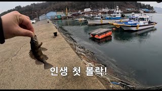 인생 첫 볼락 낚시(2024년1월19일 여수 국동항, 돌산방파제)