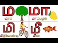 ம வரிசை சொற்கள் with video clip for each letter |ம மா மி மீ| உயிர்மெய் எழுத்துக்கள்|Tamil Alphabets|