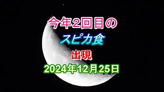 今年2回目のスピカ食・出現 2024年12月25日