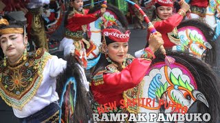 Rampak Pambuko (BUDI BINDENG DKK) Jaranan Dangdut Kreasi NEW SAFITRI PUTRO Live Pantai Popoh 2024