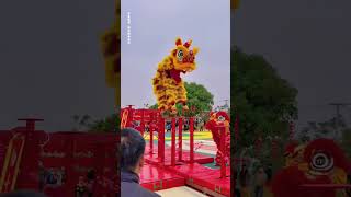 Lion Dance in Guangxi 广西梧州藤县舞狮