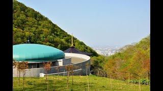 大乗院薬王寺　花まつり～お釈迦様降誕会（令和２年５月１７日）