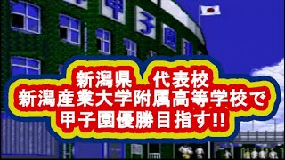 甲子園　第33回目　全国47都道府県 　新潟県　新潟産業大学附属高等学校 　人口が少ない都道府県から甲子園優勝を目指す!!