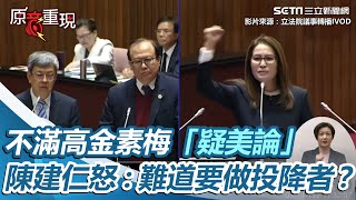 不滿高金素梅「疑美論」　陳建仁怒嗆：難道要做投降者？我腰桿是挺直的｜三立新聞網 SETN.com