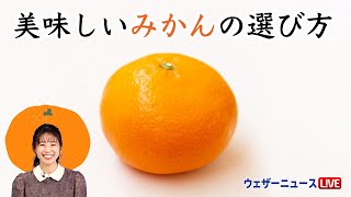 【みかんの日】美味しいみかんの選び方