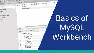 Learn the Basics of MySQL Workbench