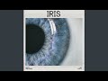 Iris (Cinematic Version)