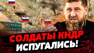 💥 СЕЙЧАС! КНДРовцы РАССТРЕЛЯЛИ КАДЫРОВЦЕВ! ШОК-ВИДЕО! Колоссальные ПОТЕРИ! Актуальные новости