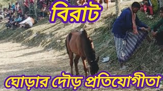 6 January 2025 ঘোড়ার দৌড় দেখতে মজাই আলাদা লাগে