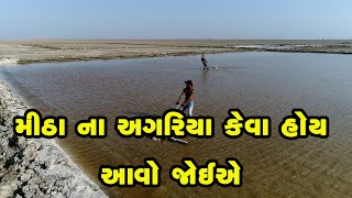 મીઠા ના અગરિયા કેવા હોય આવો જોઈએ