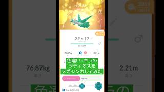 色違い+キラのラティオスを初メガ進化してみた#ポケモンGO#ポケモン