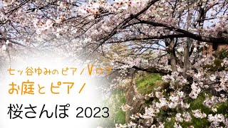 【癒し・暮らしのVlog】桜さんぽ（2023版）