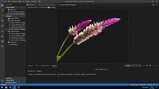 Optimize Image Size With JavaScript in Node js