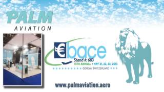 EBACE 2013 - PALM AVIATION FZCO