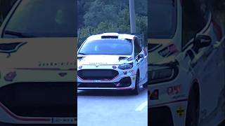 The maximum sound of the three-cylinder turbo Ford Fiesta rally