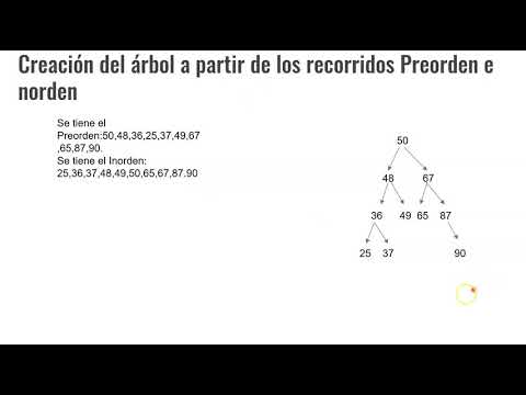 Creando Arbol Binario A Partir De Los Recorridos - YouTube