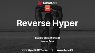 Tona Fit Workouts: Reverse Hyper (performed by GymWolfPT)