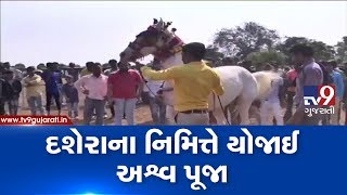 Dussehra 2019: Horse race organised after 'Ashwa Pujan' ritual in Gandhinagar | Tv9GujaratiNews