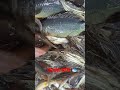 দেশীয় তাজা মাছের ধরলাম দেশীয় তাজা মাছের ধরলাম fish fishing shorts short মাছ