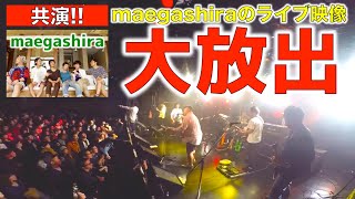 maegashira 復活 LIVE 2016/12/30 広島クラブクアトロ