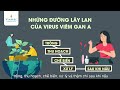 bệnh viêm gan a lây truyền qua đường nào