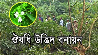 ঔষধি উদ্ভিদ বনায়ন | 2022 |  Plantation of Medicinal Forest through SUFAL Project