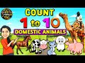 Domestic Animals | Count 1 to 10 | English Hindi | WATRstar