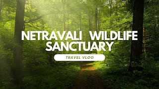 || Netravali Wildlife Sanctuary || Explorista everywhere || Goa travel vlog 2023 ||