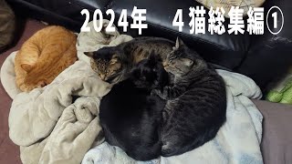 2024　猫動画総集編1－4月