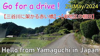 Go for a drive【三谷川に架かる赤い橋→串地区の棚田】Yamaguchi City　29/May/2024