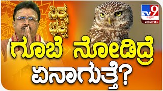 Daily Devotional  | Dr.Basavaraj Guruji: ಗೂಬೆ ನೋಡಿದ್ರೆ ಏನಾಗುತ್ತೆ? | Daily Tips | #TV9D