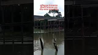 নাজিরপুর উপজেলার সদরে এই ব্রীজটি গত কয়েক বছর ধরে এভাবেই অকেজো পড়ে আছে #নাজিরপুর #পিরোজপুর #nstv