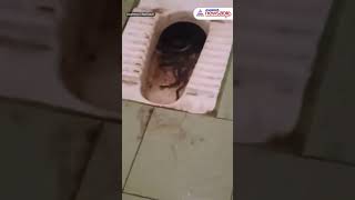 Viral | Snake Infestation in Tamil Nadu College Bathroom Due to Poor Sanitation! | Asianet Newsable