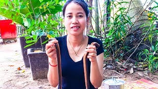 Awesome cooking  Hot Fried Fresh Water Eels - Eels Recipe -   Cutting and Cleaning Eel - Sabay Daily