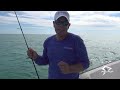 patch reef fishing is hot mutton snapper spaghetti catch u0026 cook