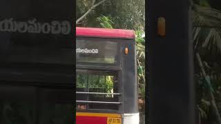 Visakhapatnam city buses #short