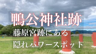 藤原宮跡(奈良県橿原市)にある隠れパワースポット　鴨公神社跡の御神木