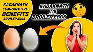 kadaknath egg price in siliguri | Broiler Egg price in siliguri | kadaknath poultry farm