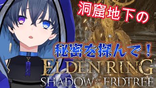 【ELDEN RING】カスなエイムで突き進む！フロム初心者なL.LLC会社員がエルデンリングDLCの世界を突っ走る記録#91