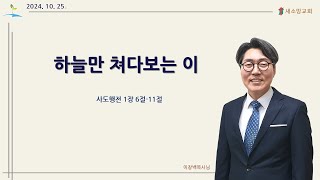 2024년 금요 10월 4주] 하늘만 쳐다보는 이