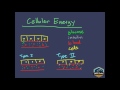 diabetic ketoacidosis dka