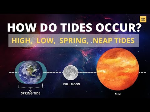 Where in the world can you find the biggest difference between high and low tide?