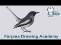 How to draw  Magpie step by step (very easy)