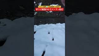 極寒!激渋試練のの渓流釣り!