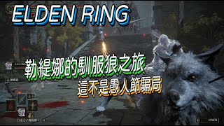 【Hsiang】艾爾登法環 ELDEN RING ：可能是彩蛋的事件,白金之子勒緹娜的馴服狼之旅,原來他可以馴服狼！