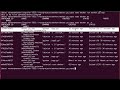 how to run python programs in docker