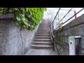 【東京・文京区】護国寺周辺を散策　walking around gokokuji in tokyo