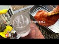 【ソロキャンプ】晩夏の里山でハムカツを揚げて レモンサワーと夏酒で優勝したかった酒カスキャンパー【小板まきばの里】【広島県】【ハムカツ】【阿部勘】