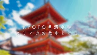 春の 京都 清水寺 周辺まで散策〜 桜 sakura〜 京都 の定番 観光地 三重塔 まで歩いてお散歩♪京都vlog