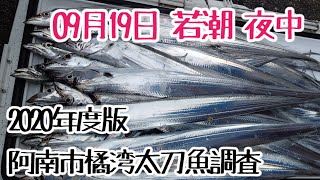 【太刀魚調査2020】阿南市某所 2020年09月19日版 23:00～6:00